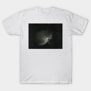 The Great Nebula in Orion by Etienne Leopold Trouvelot T-Shirt